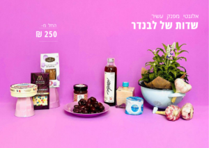 מארז שבועות "שדות של לבנדר"