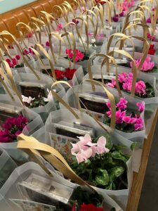 מארז קליל רוחות של סתיו